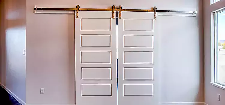 Glass Barn Door with Installation Hardware Kit Rocklin
