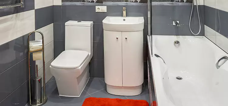 Hansgrohe Shaving Mirror Rocklin